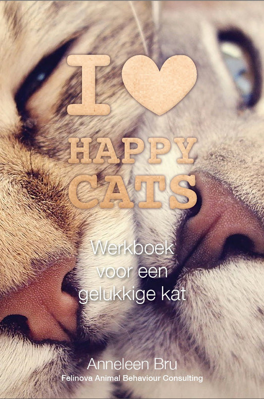 Happy Cats Werkboek